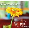 Juhlitaan puhtautta -kortit - Image 2